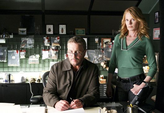CSI: Den Tätern auf der Spur