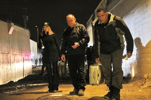 CSI: Den Tätern auf der Spur