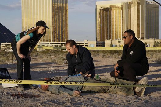 CSI: Den Tätern auf der Spur