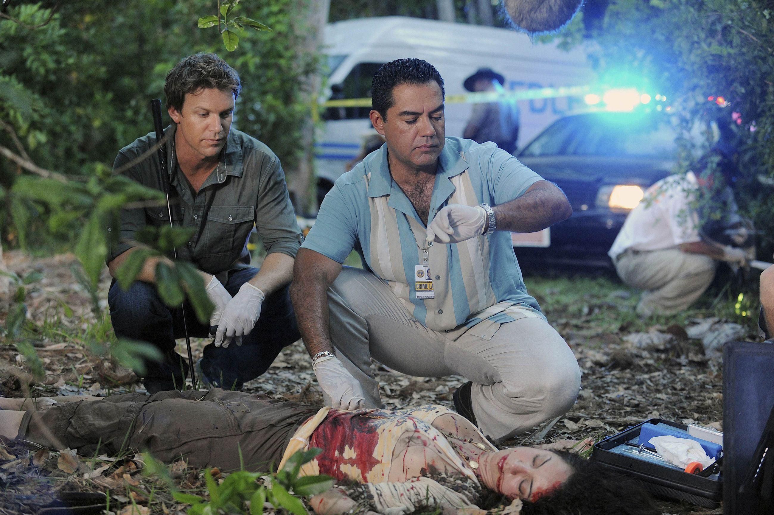 The Glades