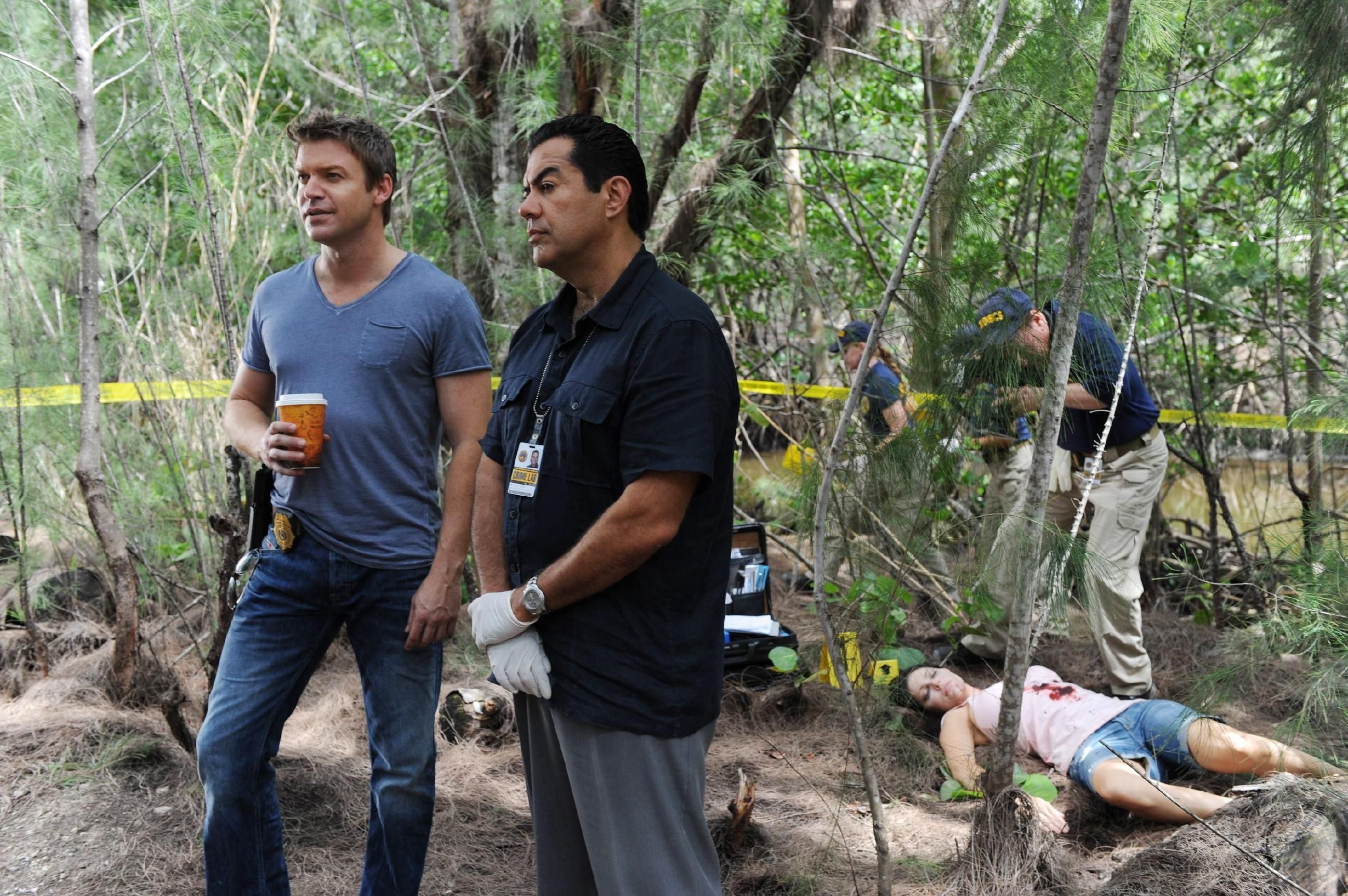 The Glades