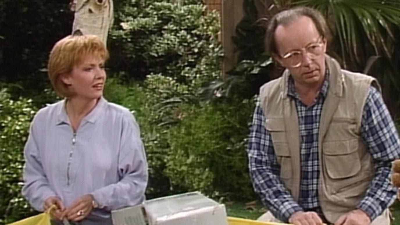 Alf