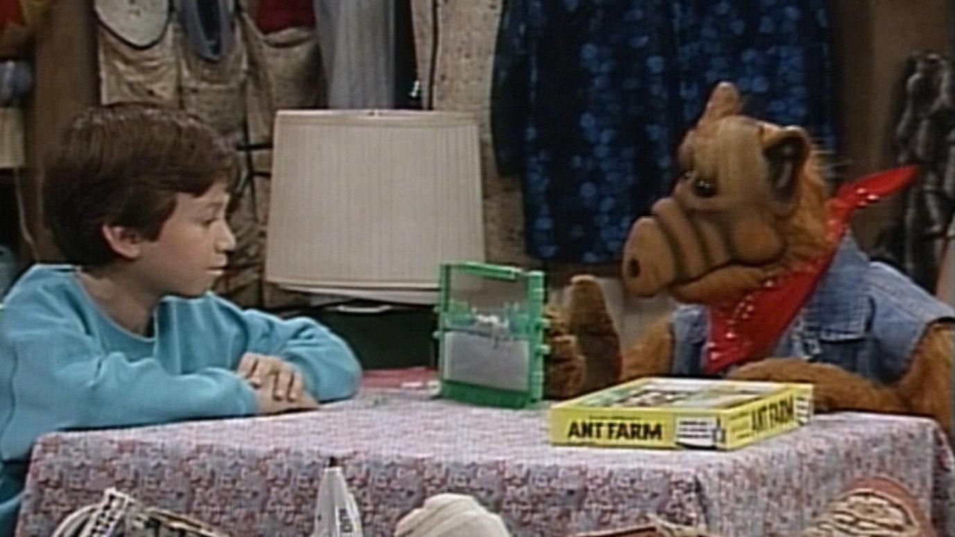 Alf
