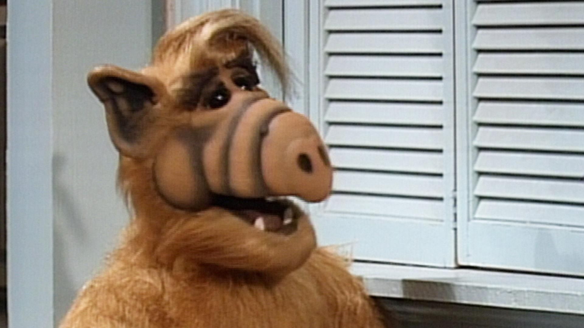 Alf