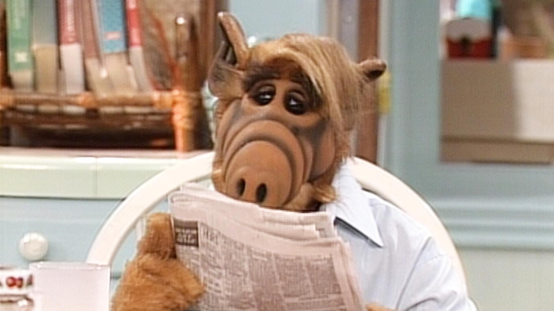 Alf