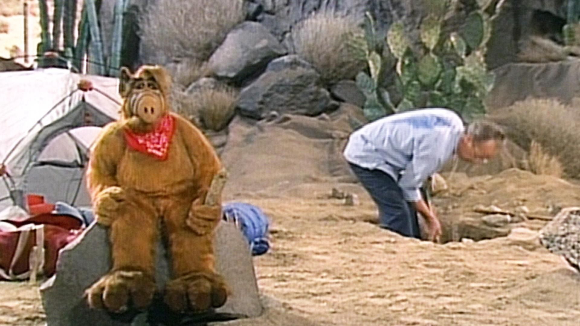 Alf