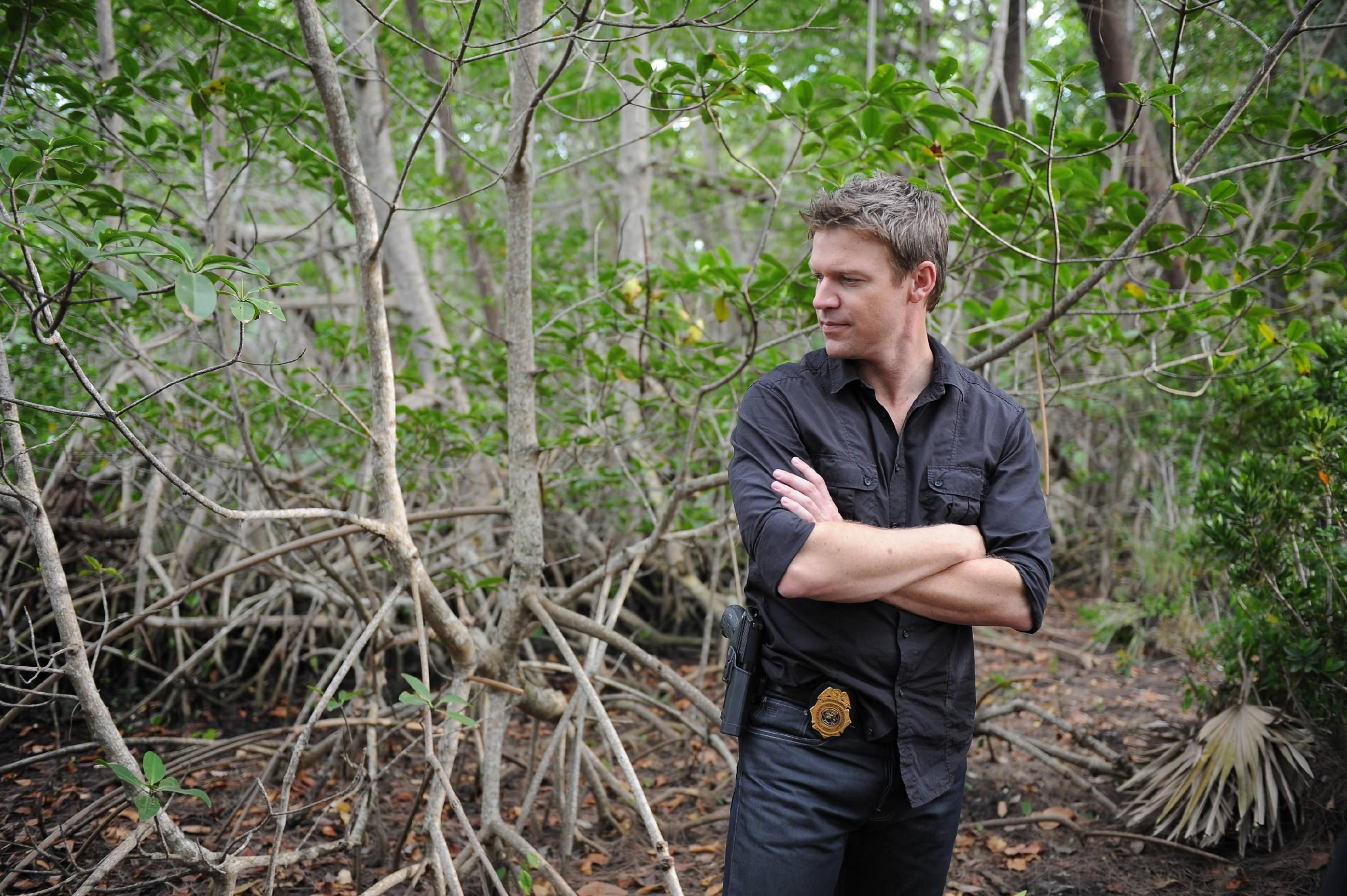 The Glades