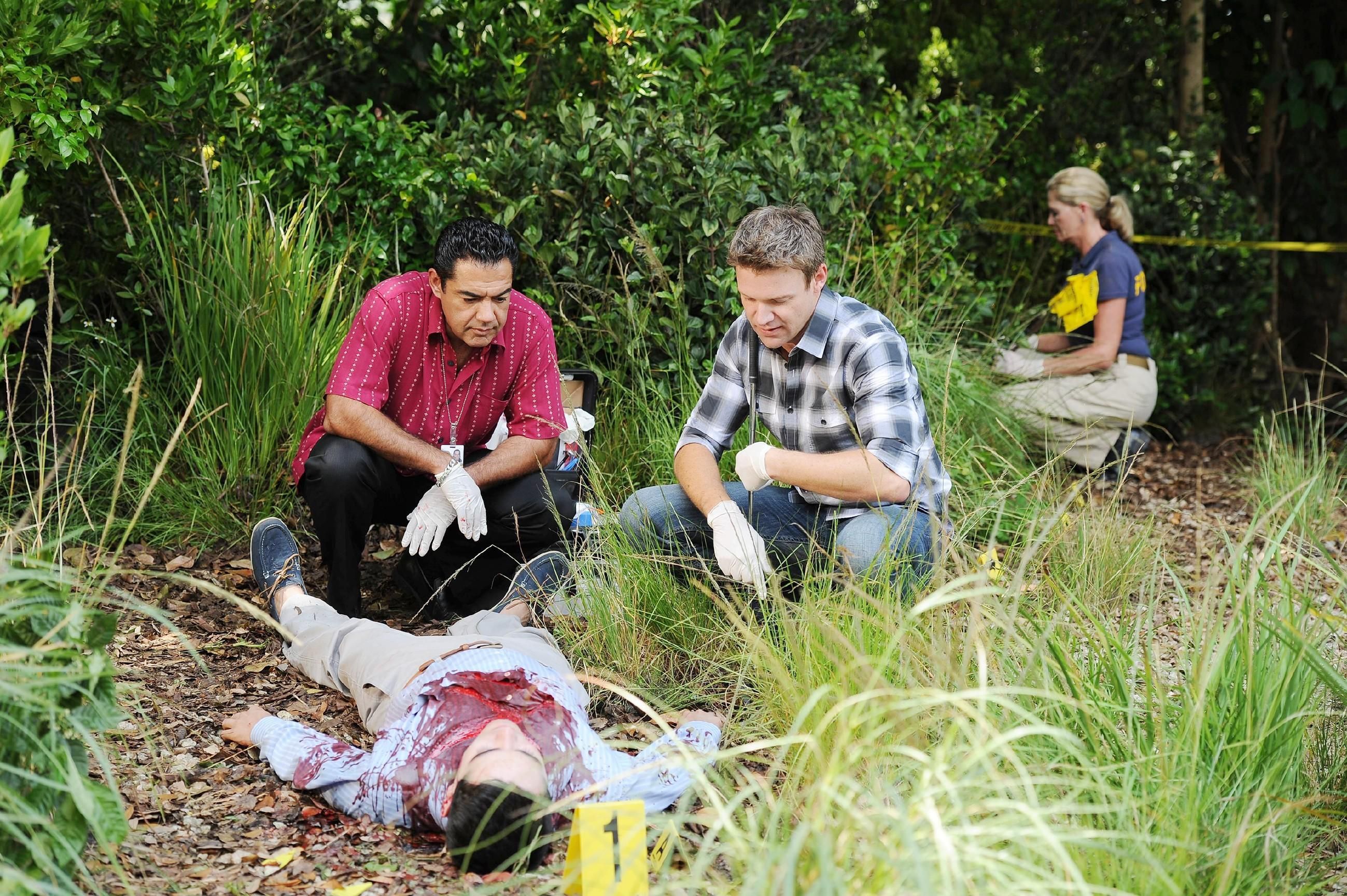 The Glades