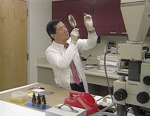 Medical Detectives - Geheimnisse der Gerichtsmedizin