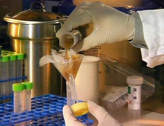 Medical Detectives - Geheimnisse der Gerichtsmedizin