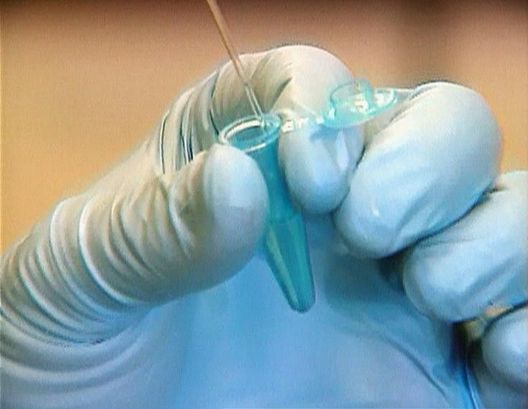 Medical Detectives - Geheimnisse der Gerichtsmedizin