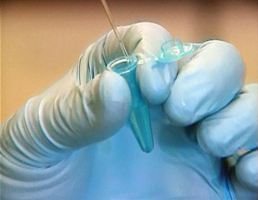 Medical Detectives - Geheimnisse der Gerichtsmedizin