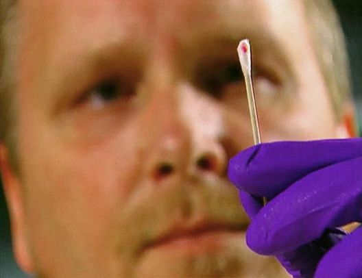 Medical Detectives - Geheimnisse der Gerichtsmedizin