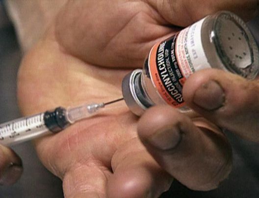 Medical Detectives - Geheimnisse der Gerichtsmedizin