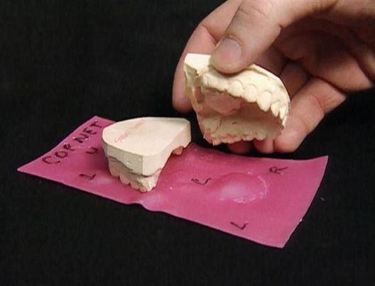 Medical Detectives - Geheimnisse der Gerichtsmedizin