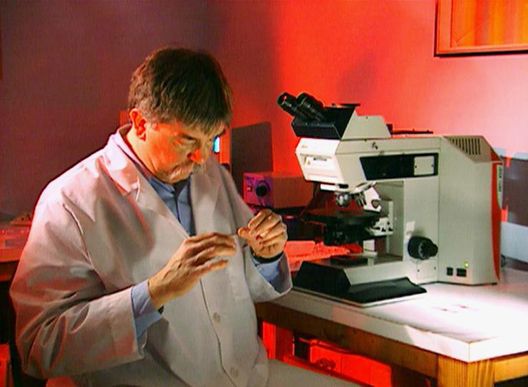 Medical Detectives - Geheimnisse der Gerichtsmedizin