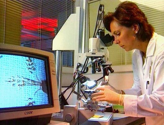 Medical Detectives - Geheimnisse der Gerichtsmedizin