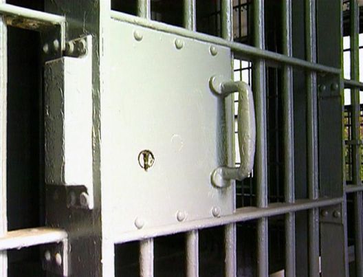 Medical Detectives - Geheimnisse der Gerichtsmedizin