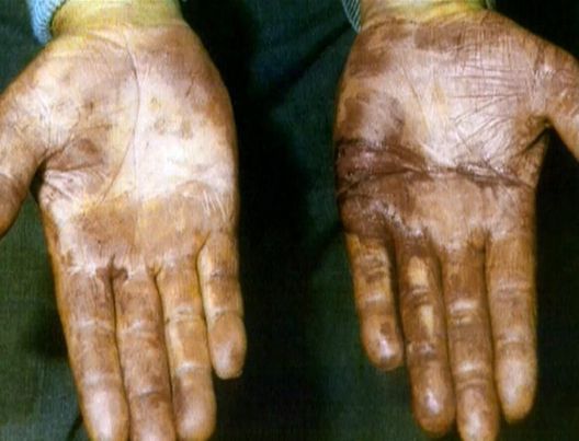 Medical Detectives - Geheimnisse der Gerichtsmedizin