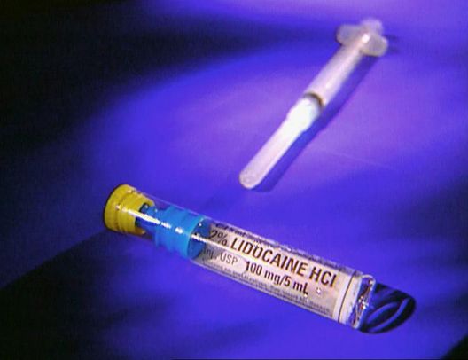 Medical Detectives - Geheimnisse der Gerichtsmedizin