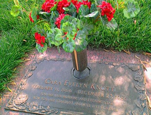 Medical Detectives - Geheimnisse der Gerichtsmedizin