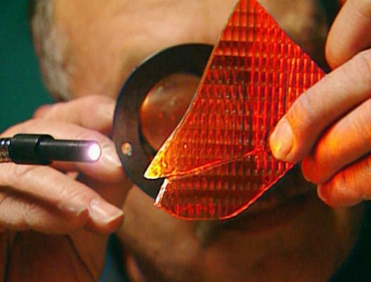 Medical Detectives - Geheimnisse der Gerichtsmedizin