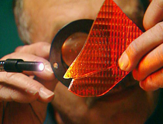 Medical Detectives - Geheimnisse der Gerichtsmedizin