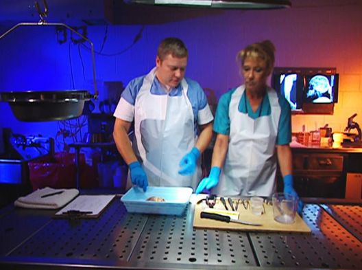 Medical Detectives - Geheimnisse der Gerichtsmedizin