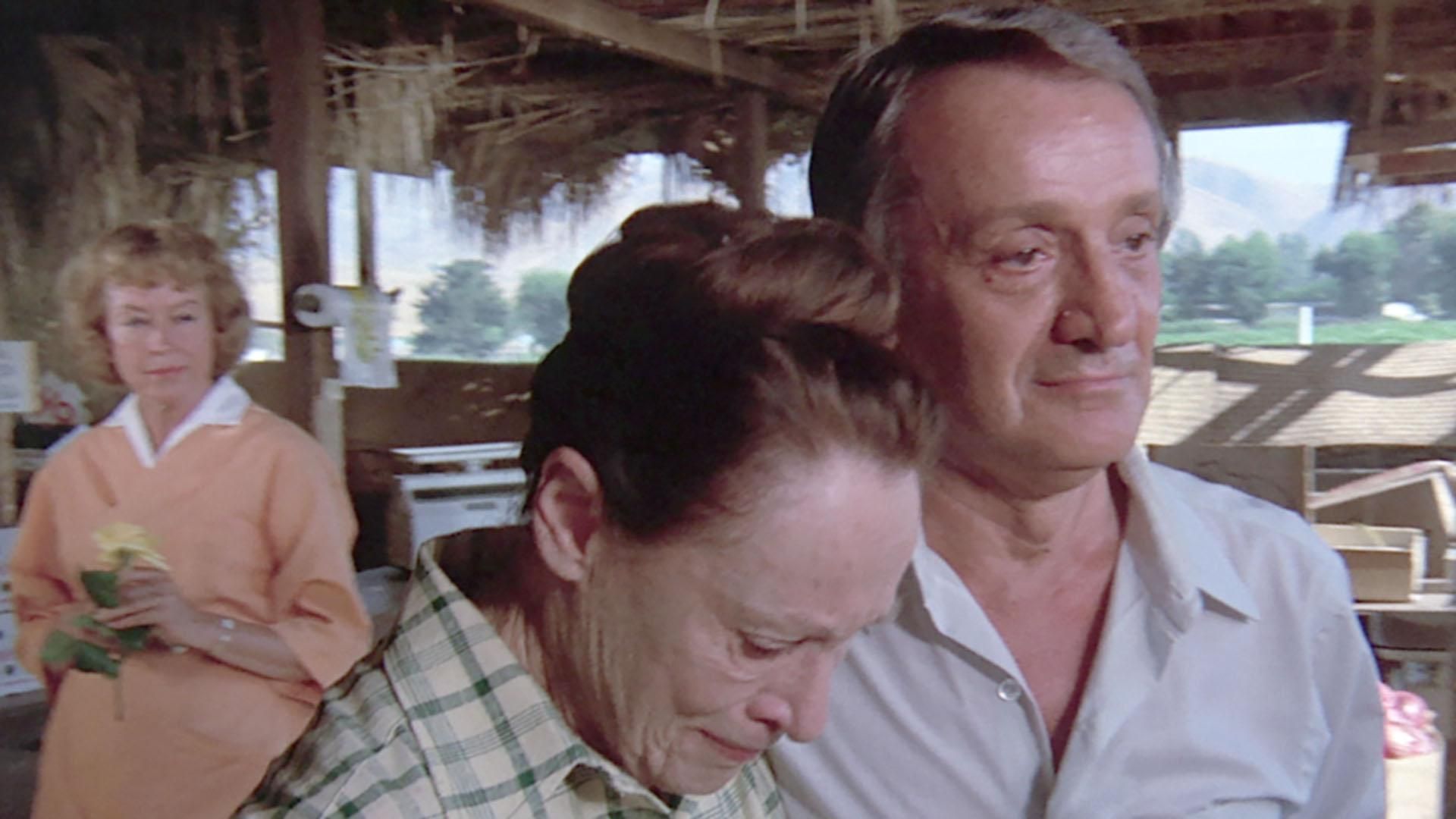 Der Sechs Millionen Dollar Mann