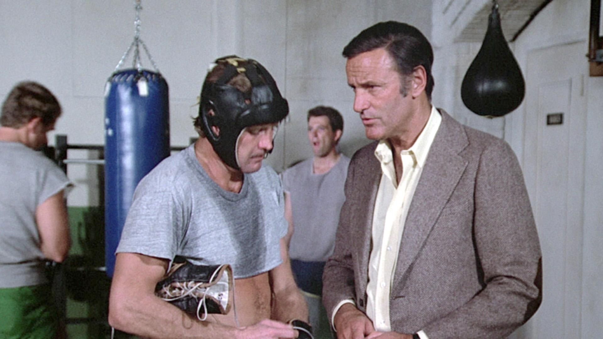 Der Sechs Millionen Dollar Mann