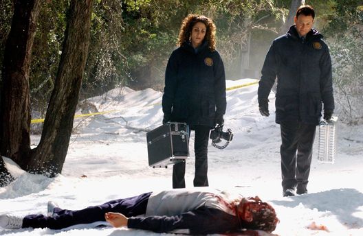 CSI: NY