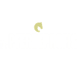 Die Pferdeprofis