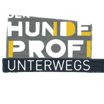 Der Hundeprofi unterwegs - Einsatz im Tierheim, Folge 3