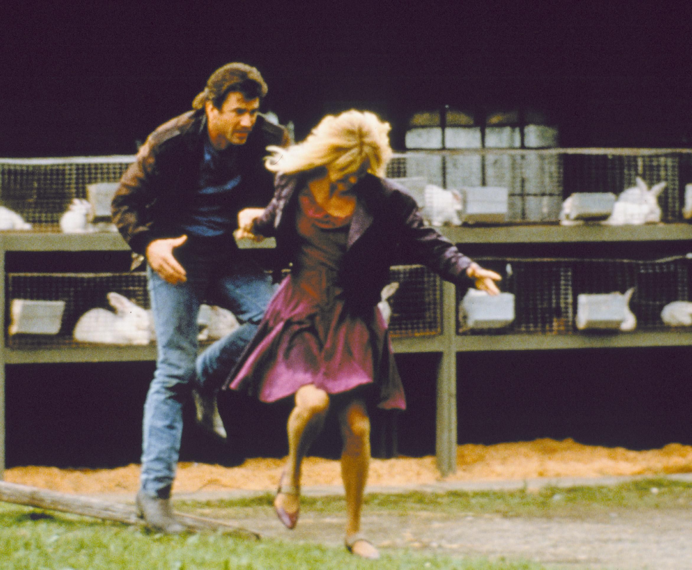 Ein Vogel auf dem Drahtseil