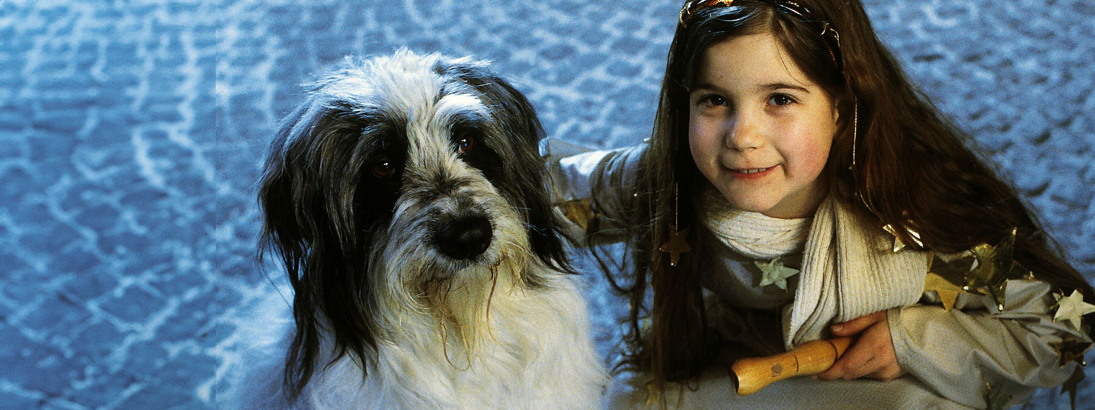 Weihnachten mit Willy Wuff Mama braucht einen Millionär Filme