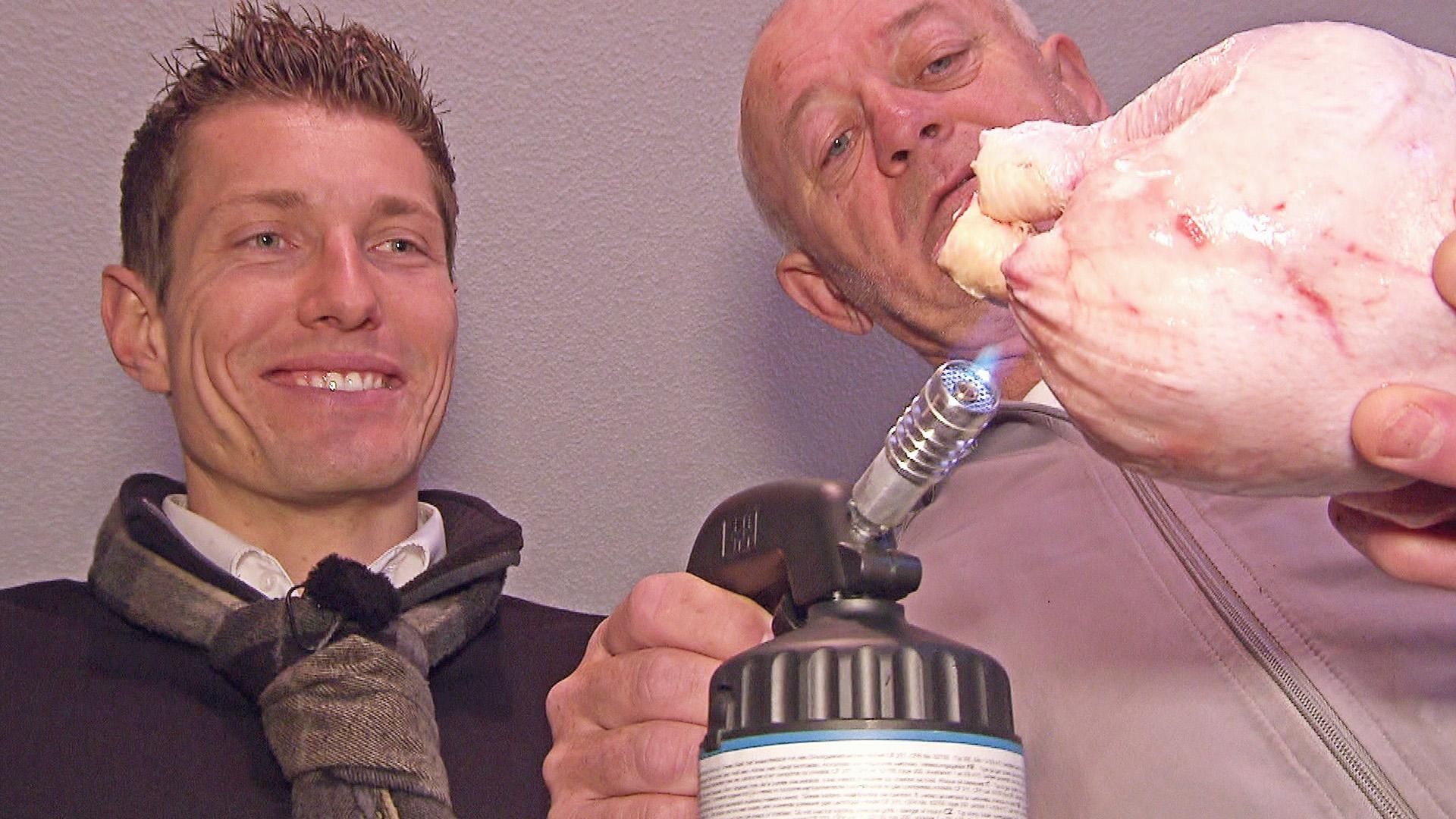 Die Versicherungsdetektive