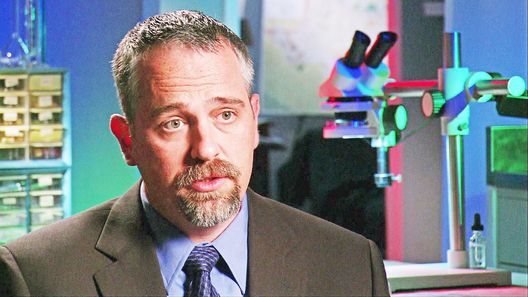 Medical Detectives - Geheimnisse der Gerichtsmedizin