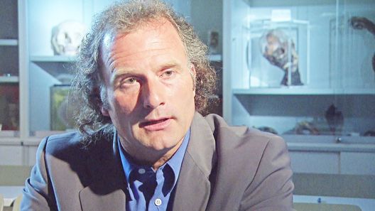 Medical Detectives - Geheimnisse der Gerichtsmedizin