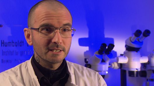 Medical Detectives - Geheimnisse der Gerichtsmedizin