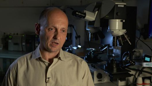 Medical Detectives - Geheimnisse der Gerichtsmedizin