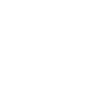 Die Cleveren