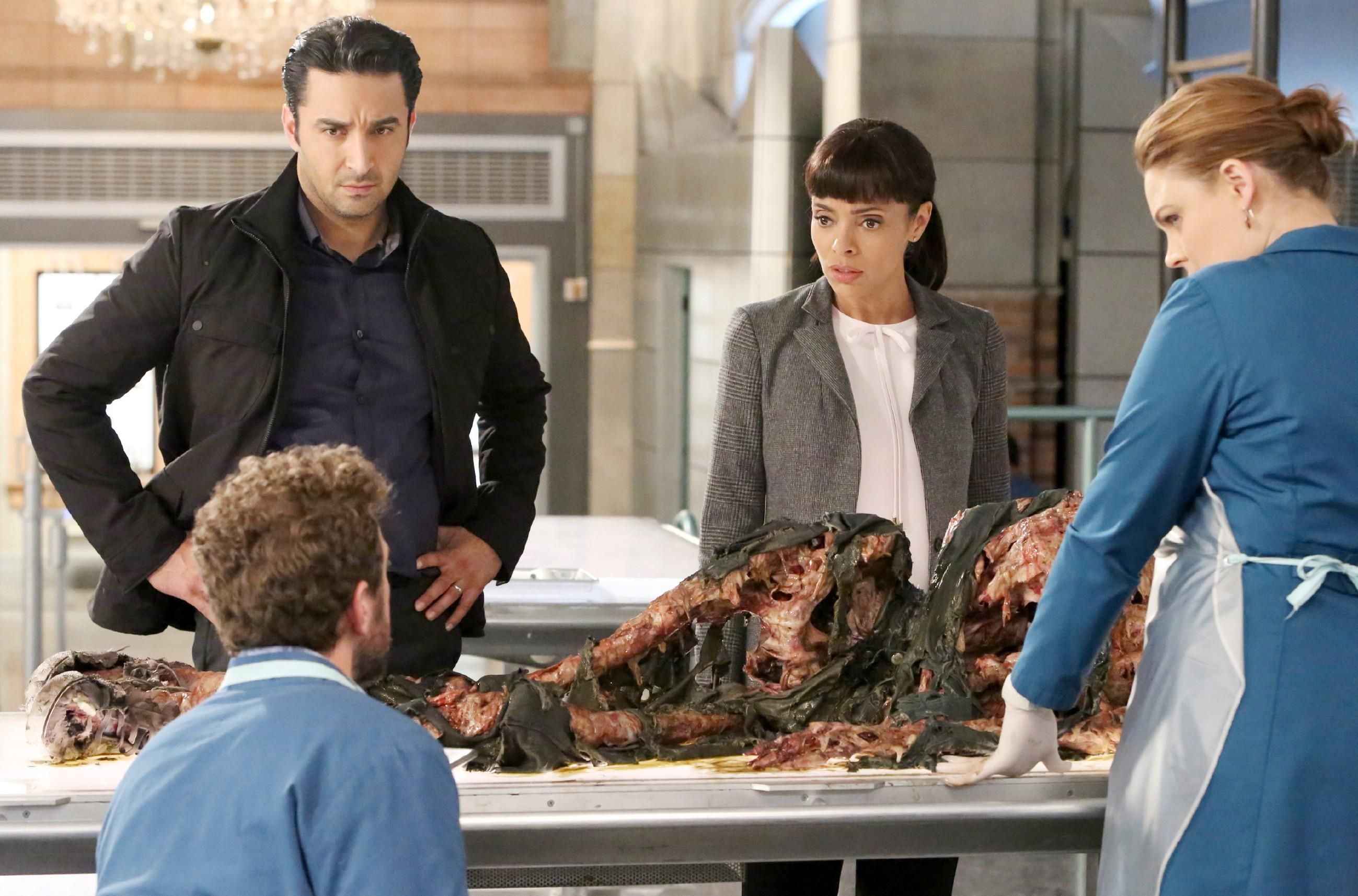 Bones - Die Knochenjägerin