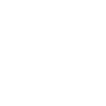 Ehrlich Brothers