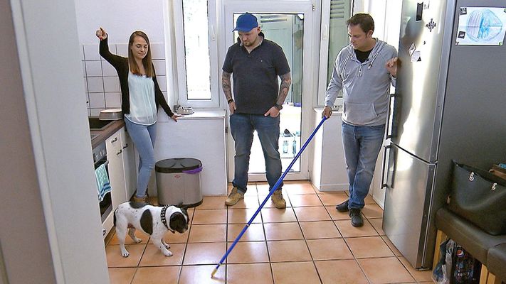 "Django" macht seinen Besitzern das Leben schwer