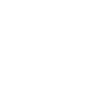 Hund vs. Katze - Rütter gegen Boes
