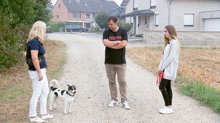 Ratonero-Mischling "Jojo" / Dackel "Max"