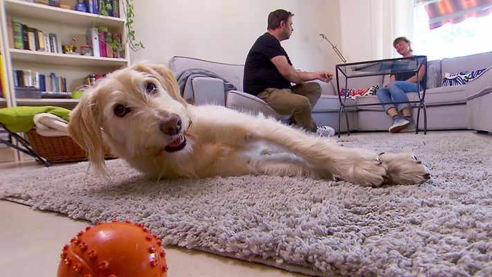 Heute u. a. mit: Corinna mit Labradoodle Lola