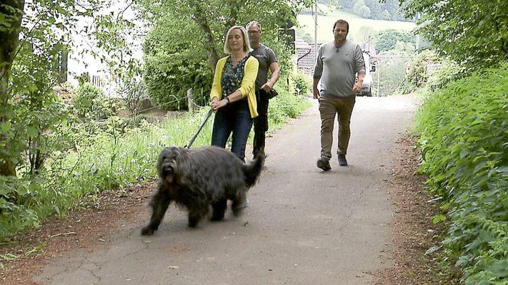 Heute u. a. mit: Heike & Martin mit Briard Poldi
