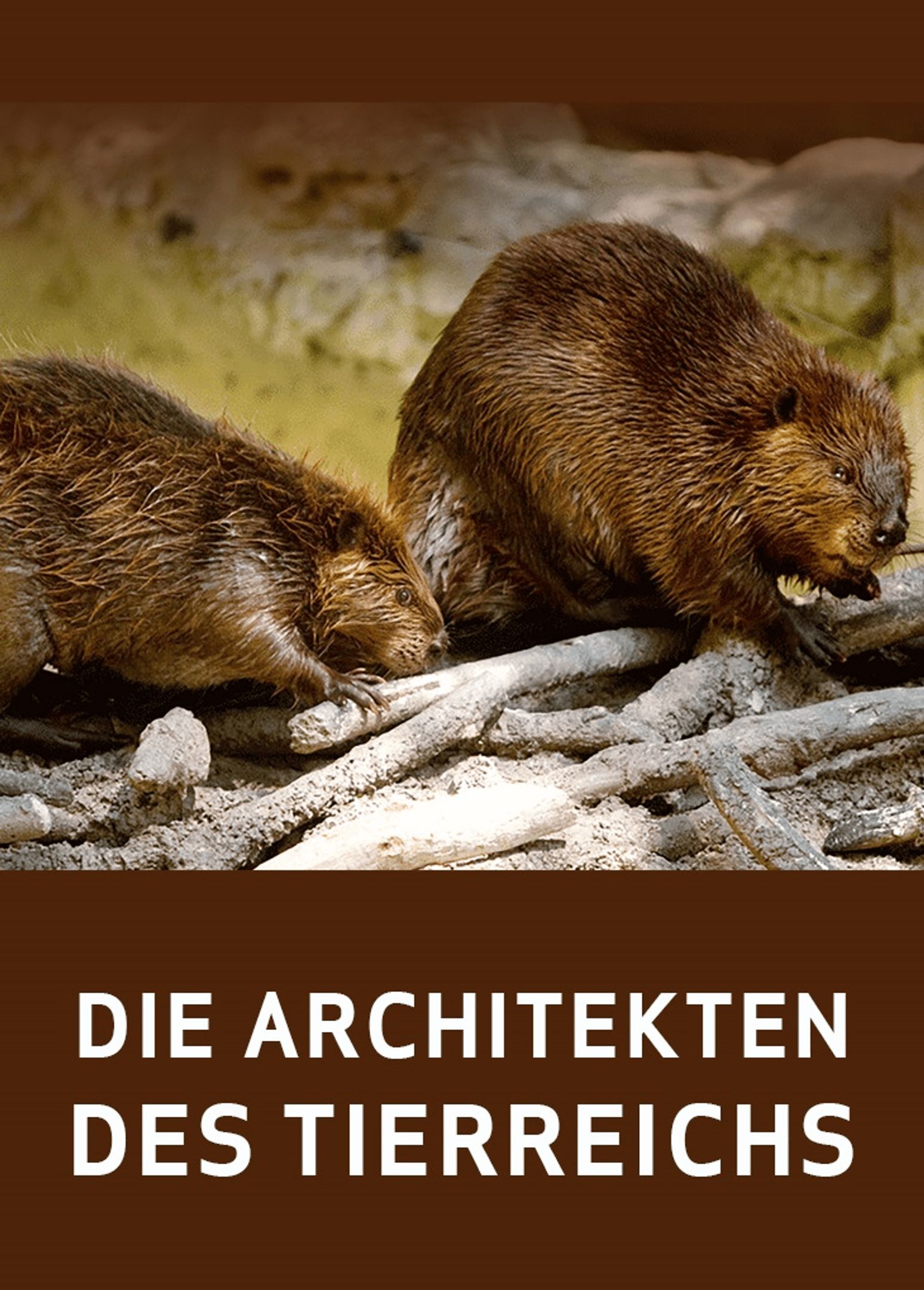 DE - Die Architekten des Tierreichs (2019)