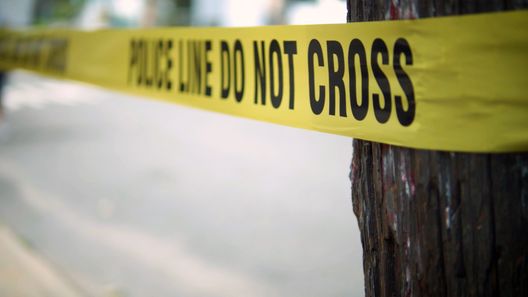 Medical Detectives - Geheimnisse der Gerichtsmedizin